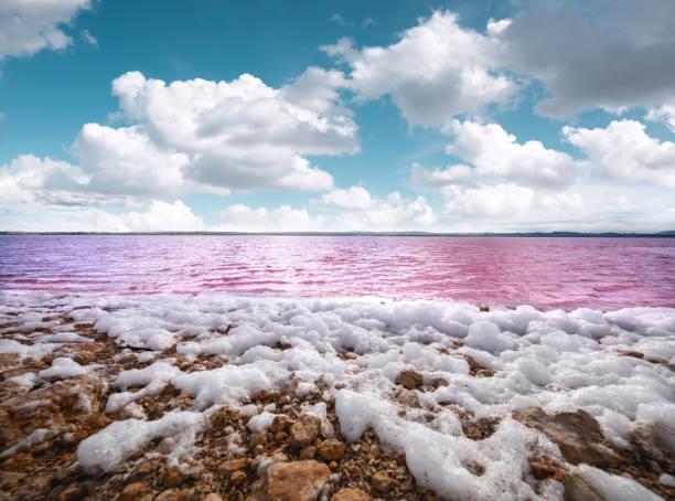 Lago rosa de Torrevieja - Alicante